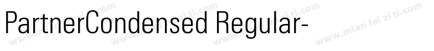 PartnerCondensed Regular字体转换